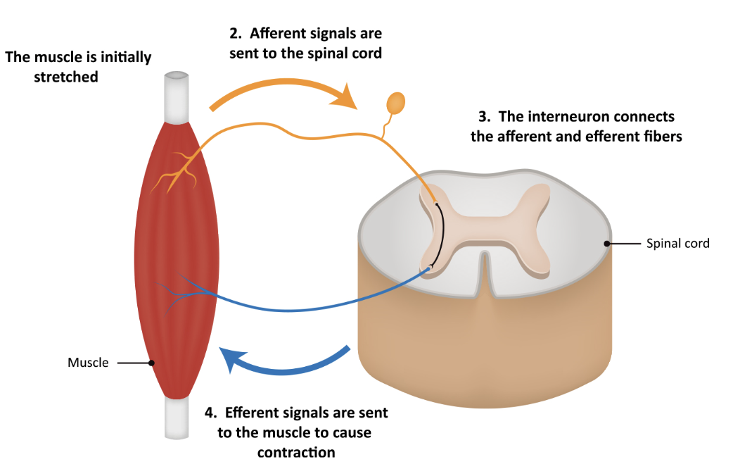 Screenshot 2026-01-23 at 2.33.48 PM